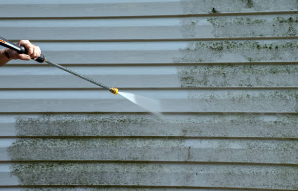 Professional Mold Removal in Monticello, LA