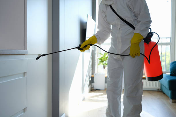 Best Mold Cleaning Services  in Monticello, LA